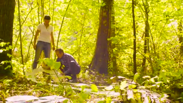 Dos ecologistas en el bosque — Vídeo de stock