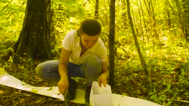 Frau holt Bodenproben im Wald. — Stockvideo