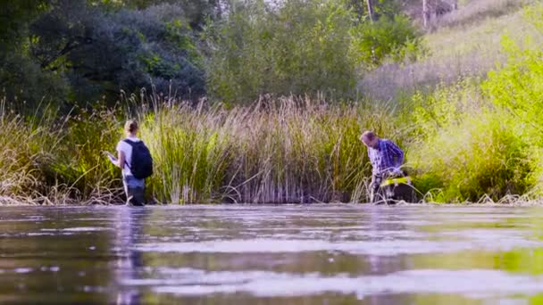 Два вчені екологи у високих гумових черевиках ходять у воді лісової річки — стокове відео