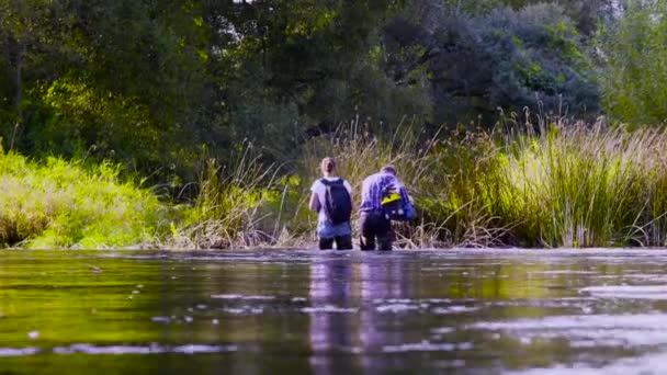 Два ученых-эколога в высоких резиновых сапогах прогуливаются по воде лесной реки — стоковое видео