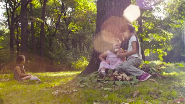 Три девушки сидят в парке на траве среди деревьев — стоковое видео