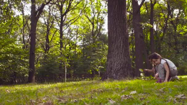 Три девушки сидят в парке на траве среди деревьев — стоковое видео