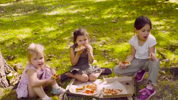 Breakfast on the grass — Stock Video