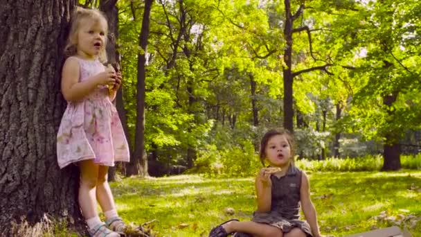 Δύο κορίτσια στο πάρκο τρώγοντας Πίτσα. — Αρχείο Βίντεο
