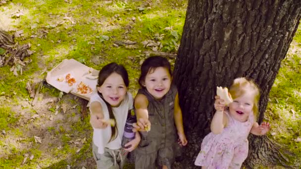 Tres chicas de pie cerca del árbol en el parque y comiendo pizza — Vídeos de Stock