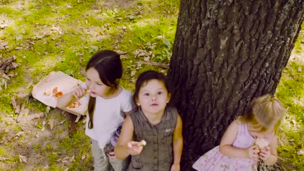 Τρία κορίτσια στέκεται κοντά στο δέντρο στο πάρκο και να τρώει Πίτσα — Αρχείο Βίντεο