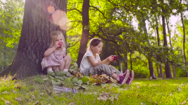 Две девушки сидят в парке и едят гранат — стоковое видео