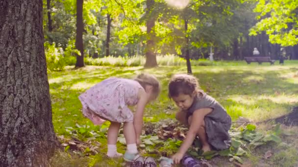 Две девушки играют в парке на траве возле дерева — стоковое видео