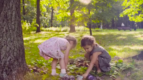 ツリーの近くに芝生の公園で遊ぶ二人の少女 — ストック動画