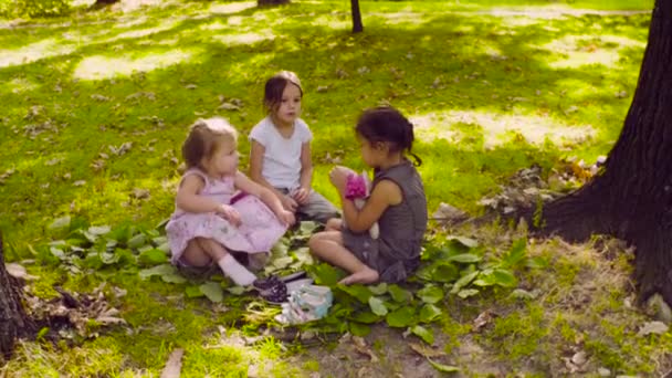 Tři dívky sedí v parku na trávě vedle stromu — Stock video