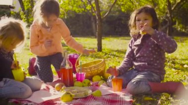Bahçe piknik. Çimenlerin üzerinde oturan, komposto içme ve pasta yeme çocuklar