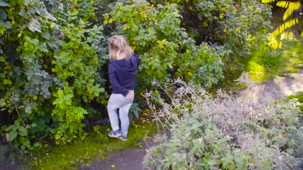 Tři dívky, sbírání lesních plodů růže v zahradě — Stock video