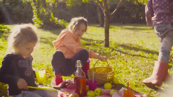 Picnic en el jardín. Niños sentados en la hierba y bebiendo compota — Vídeos de Stock