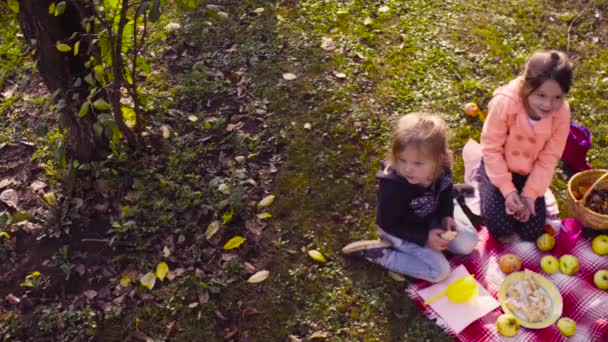 Picknick in de tuin. Kinderen zitten op gras, compote drinken en eten taart — Stockvideo