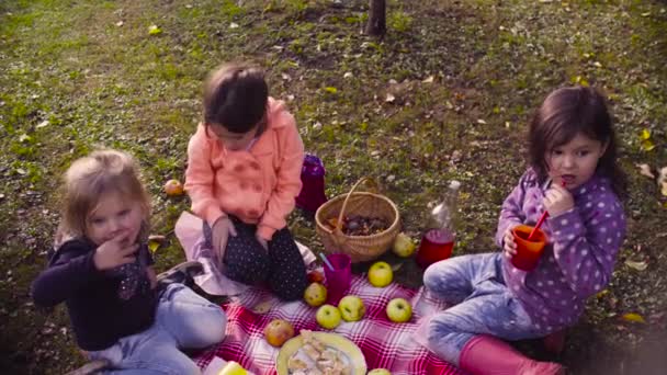 Picknick i trädgården. Barn sitter på gräset, dricka kompott och äta paj — Stockvideo