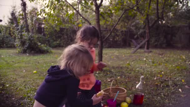 Πικ-νικ στον κήπο. Ένα κορίτσι που κάθεται στο γρασίδι και πόσιμο compot — Αρχείο Βίντεο