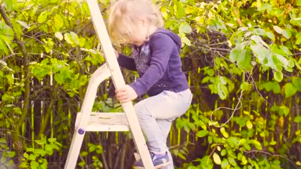 Little girl climbing up and down a ladder — Stock Video