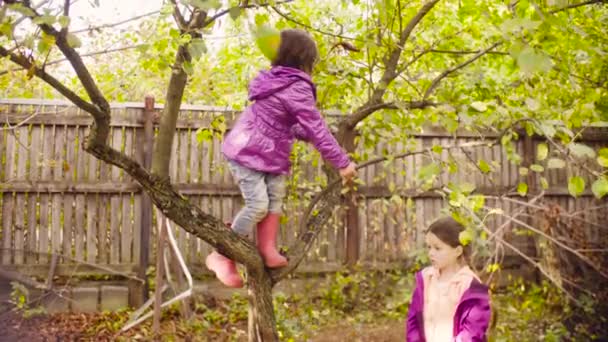 Kleines Mädchen klettert auf einen Baum und sucht nach Äpfeln — Stockvideo