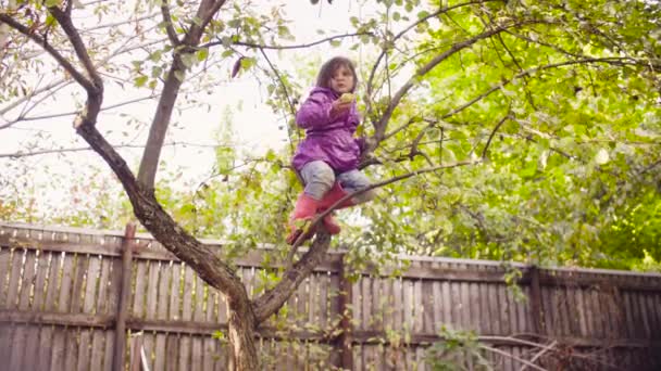 Niña sentada en un árbol y comiendo manzana — Vídeo de stock