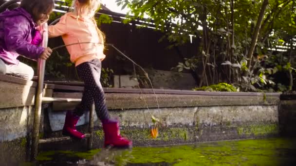 Dos chicas jugando cerca de la vieja piscina cubierta de hierba de pato — Vídeos de Stock