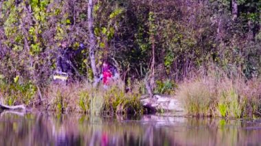 Bir kadın ekolojist nehre ulaşmaya çalışıyor