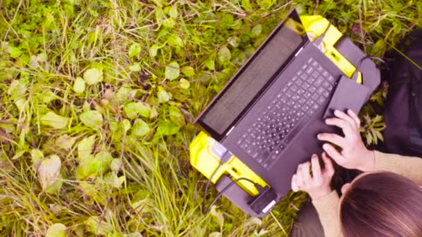 Женщина-эколог, работающая над ноутбуком в лесу — стоковое видео