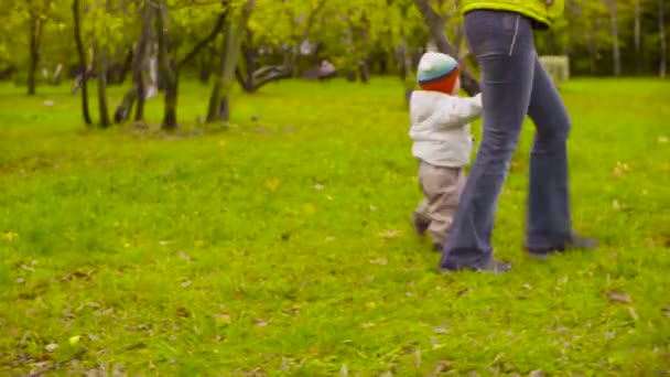 Little funny baby walking in a park with his mom — Stock Video