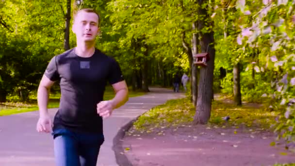 若い男は公園を走っています。秋 — ストック動画