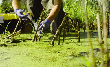 Su örnekleri alarak bir kadın ekolojist elinde