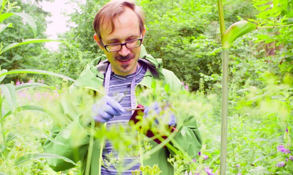 Эколог в лесу исследует растение — стоковое фото
