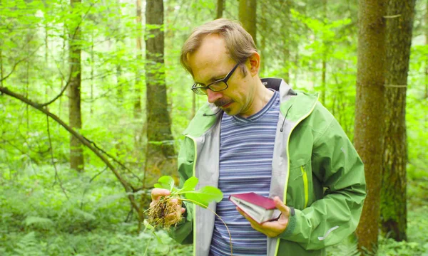 De ecoloog in een forest plant te onderzoeken — Stockfoto