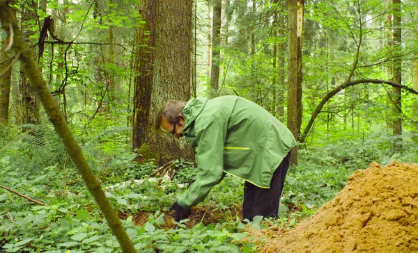 Wissenschaftler Ökologe in einem Wald graben Bodenschlitz — Stockfoto
