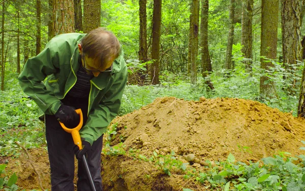 土スリットを掘りフォレスト内の科学者の生態学者 — ストック写真