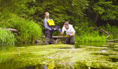 Duckweed örnekleri alarak kadın bilim adamı ekolojist