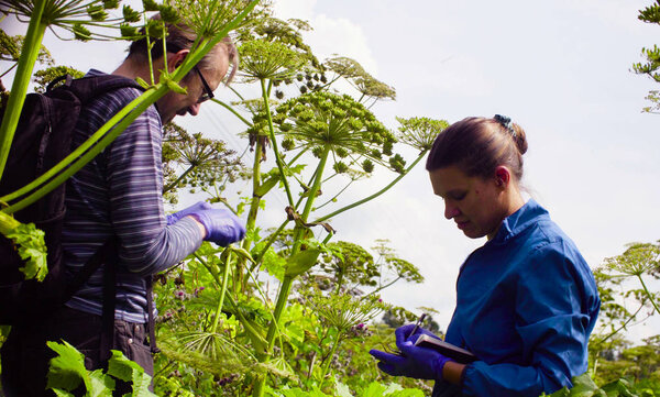 Scientists environmentalists man and woman examining plant