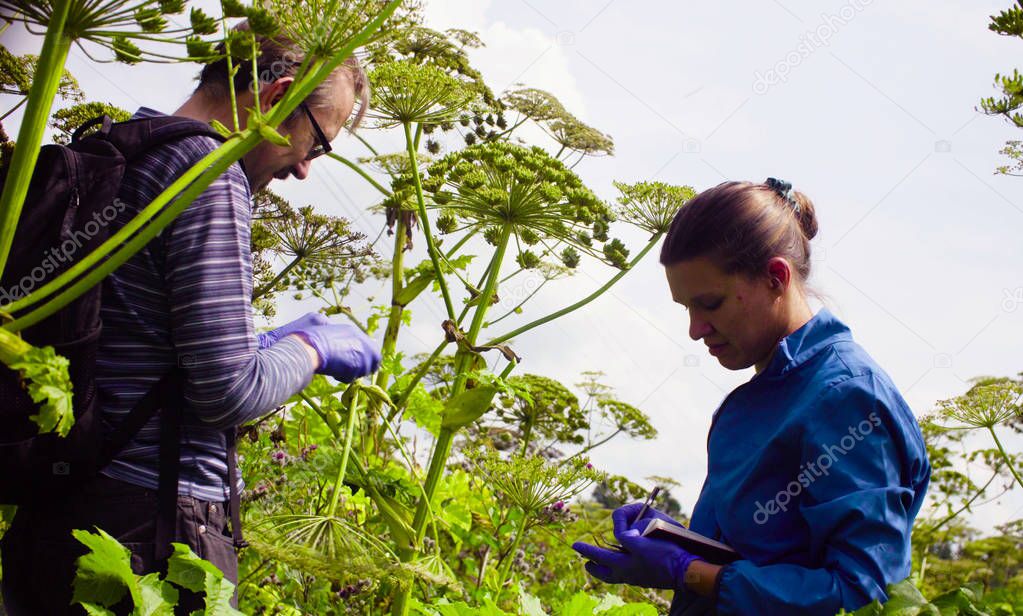 Scientists environmentalists man and woman examining plant