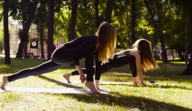 Yoga. İki çekici kadın yoga exersices Park yapıyor