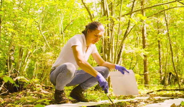 Женщина собирает образцы почвы в лесу . — стоковое фото