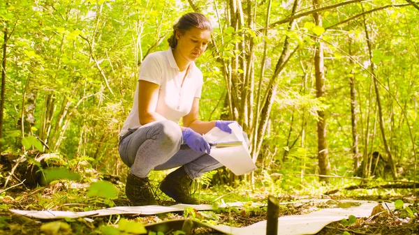 Vrouw krijgt sampels van de bodem in het bos. — Stockfoto