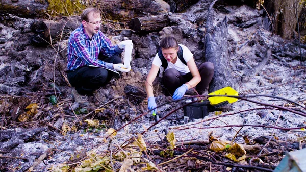 Dois cientistas ecologistas trabalhando no lugar onde a floresta incendiou — Fotografia de Stock