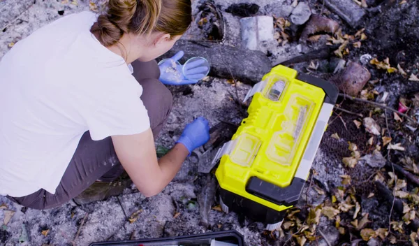 Mujeres científicas ecologistas trabajando en el lugar donde el bosque se quemó — Foto de Stock