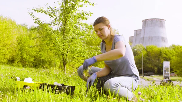 Vrouw ecoloog krijgen monsters van planten in de buurt van de fabriek — Stockfoto