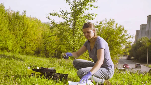 Женщина-эколог получает образцы растений возле завода — стоковое фото