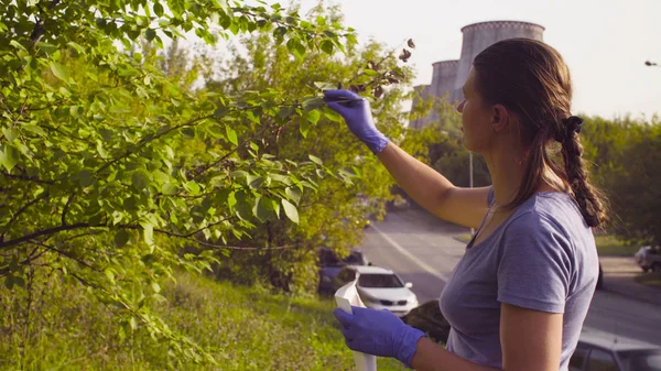 Vrouw ecoloog krijgen monsters van gebladerte in de buurt van de fabriek — Stockfoto