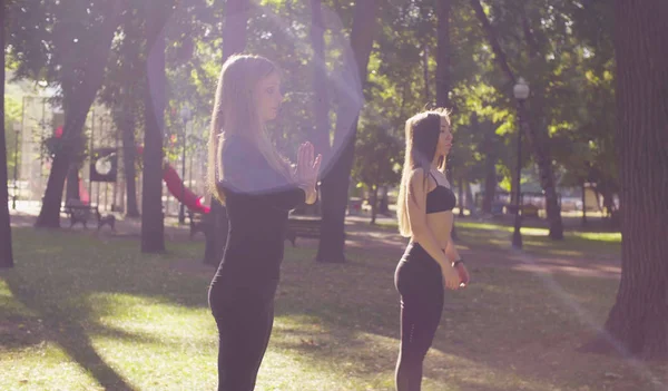 Du yoga. Deux jolies femmes faisant des exercices de yoga dans le parc — Photo