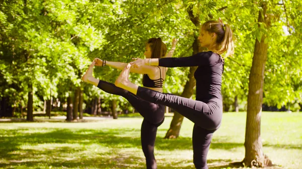 Йога. Две привлекательные женщины занимаются йогой в парке — стоковое фото