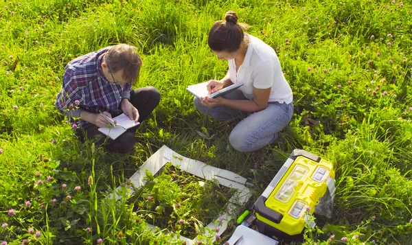 2 つの牧草地生態学者試験植物 ロイヤリティフリーのストック画像