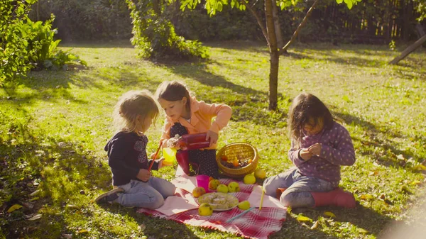 Piknik na zahradě. Děti sedí na trávě a pití kompot — Stock fotografie