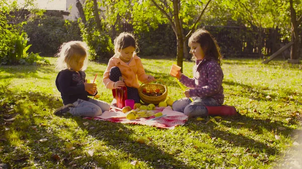 Picnic en el jardín. Niños sentados en la hierba y bebiendo compota —  Fotos de Stock