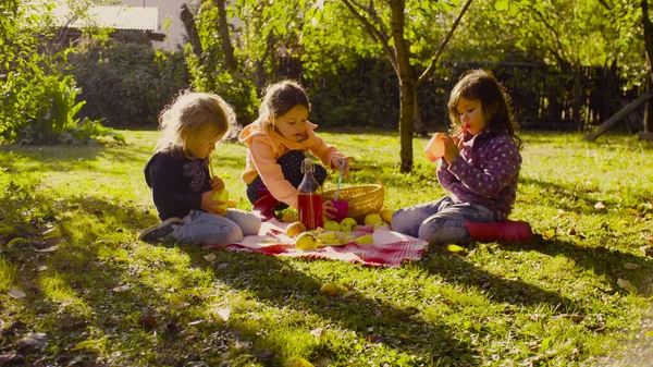 Picnic en el jardín. Niños sentados en la hierba y bebiendo compota —  Fotos de Stock